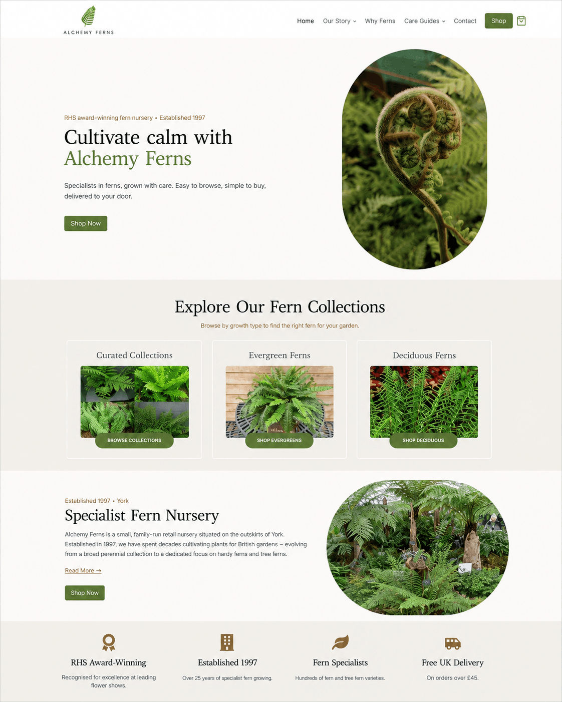 Alchemy Ferns